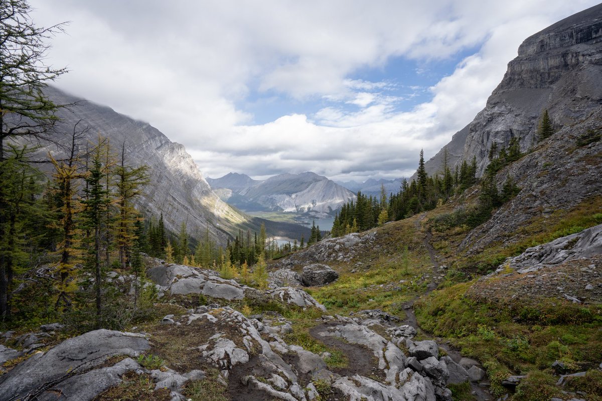 Alberta Parks tweet media