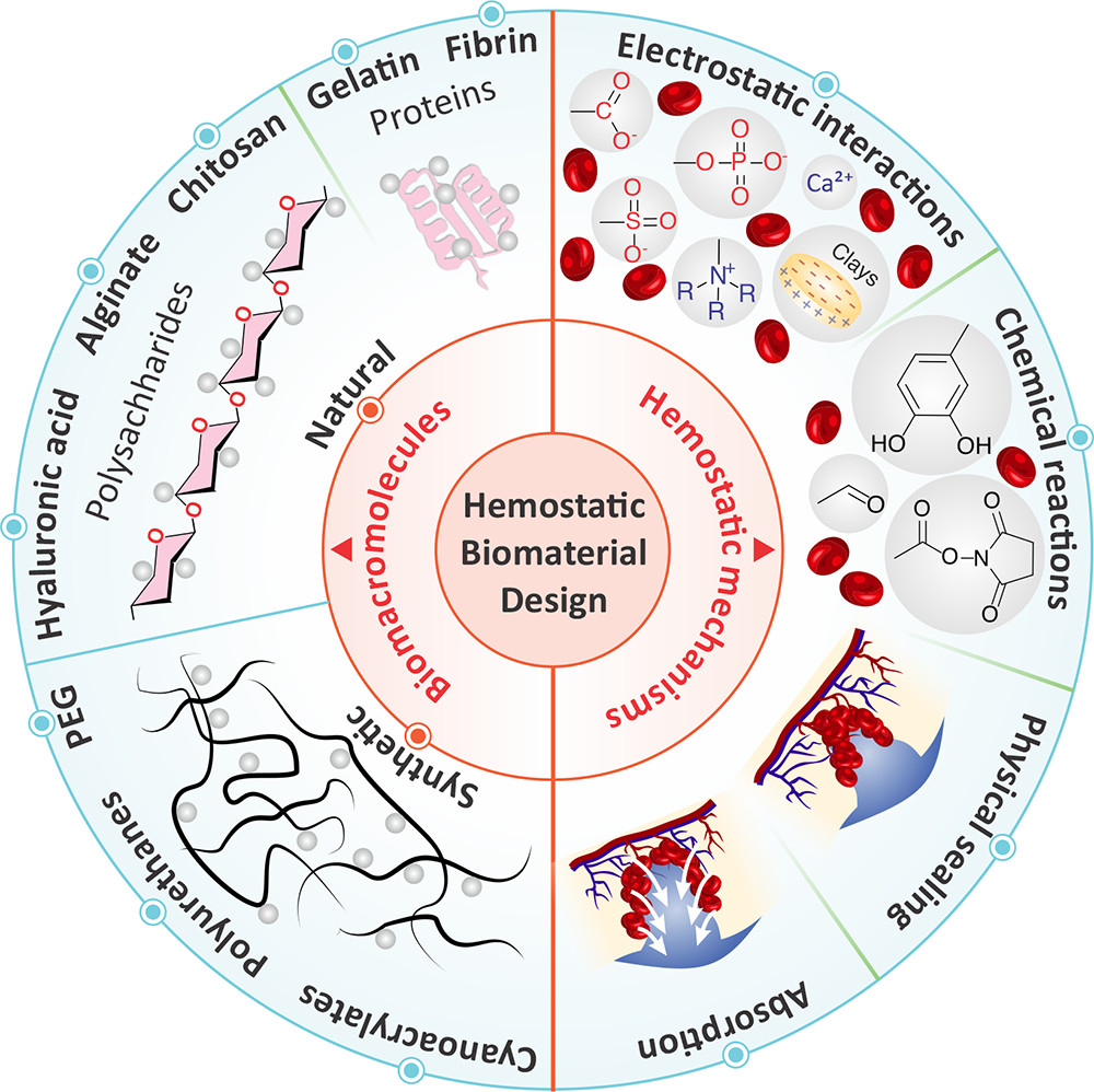 Paul Weiss (@pswnano) on Twitter photo Just out - our forward-looking Review on #wound healing with hemostatic biomaterials bit.ly/HemostatCR <a href="/ACSChemRev/">Chemical Reviews</a> w/ Ali Khademhosseini <a href="/khademh/">Ali Khademhosseini</a> <a href="/TerasakiInst/">Terasaki Institute for Biomedical Innovation</a> Nasim Annabi <a href="/nasimannabi/">Nasim Annabi</a> <a href="/UCLAengineering/">UCLA Samueli Engineering</a> & lead author Hossein Montazerian <a href="/h_montazerian/">Hossein Montazerian</a> <a href="/BioEngUCLA/">UCLA Bioengineering</a> <a href="/UCLA/">UCLA</a> Just out - our forward-looking Review on #wound healing with hemostatic biomaterials bit.ly/HemostatCR <a href="/ACSChemRev/">Chemical Reviews</a> w/ Ali Khademhosseini <a href="/khademh/">Ali Khademhosseini</a> <a href="/TerasakiInst/">Terasaki Institute for Biomedical Innovation</a> Nasim Annabi <a href="/nasimannabi/">Nasim Annabi</a> <a href="/UCLAengineering/">UCLA Samueli Engineering</a> & lead author Hossein Montazerian <a href="/h_montazerian/">Hossein Montazerian</a> <a href="/BioEngUCLA/">UCLA Bioengineering</a> <a href="/UCLA/">UCLA</a>