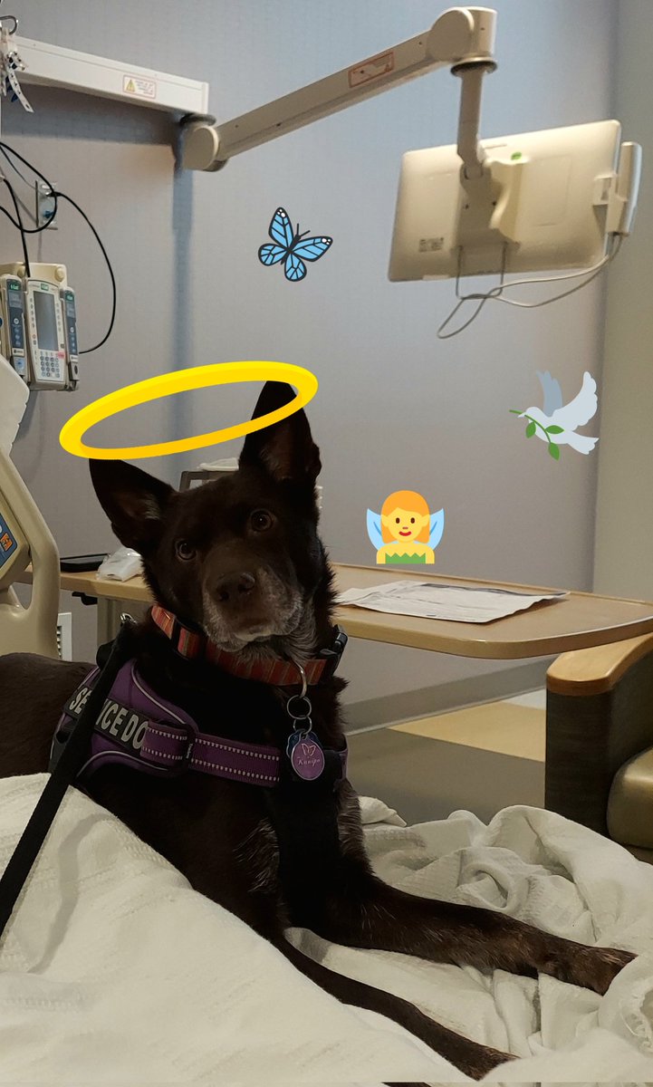 just1ofall's tweet photo. She's getting lots of love and excellent care, and is in surprisingly high spirits! She's honestly more worried about all of us <and all of you> and all her animal and fairy creatures😂 if you know my mama, you know this is typical🥰 I'm so excited to tell y'all she's back!!! https://t.co/JmUldhG7tf