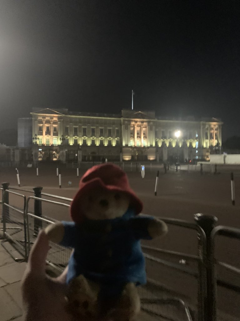 catshapedbug's tweet photo. i started crying because i love this bear so much https://t.co/WVaCH4VHTX