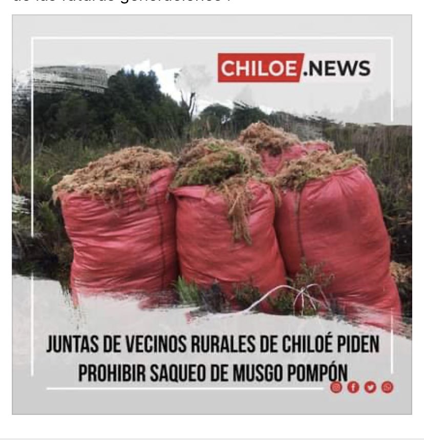 ❗️Defendamos Patagonia❗️ tweet media