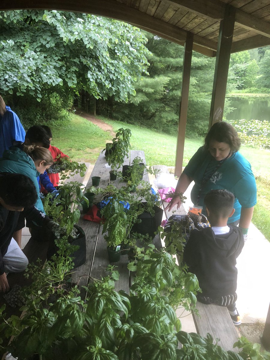 CCPSESOLTeam tweet media