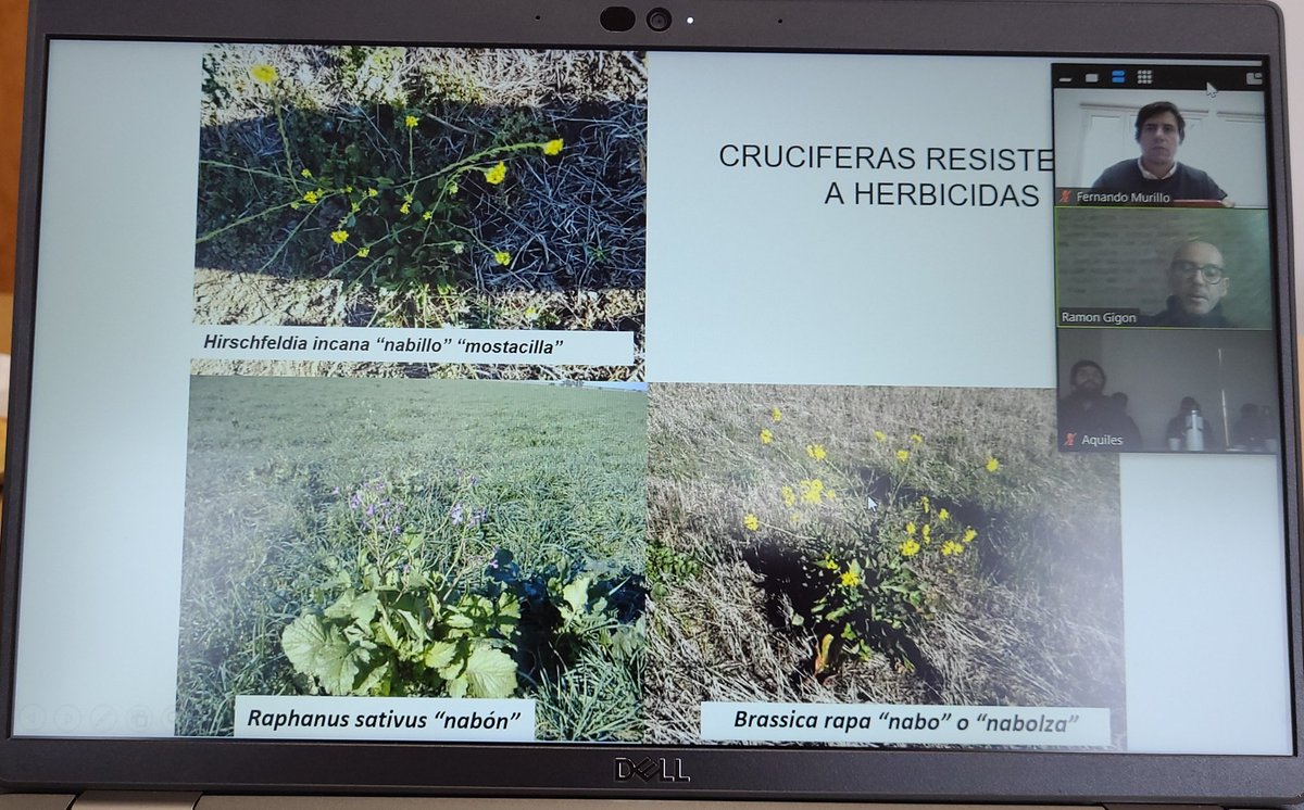 Fernando Murillo tweet media