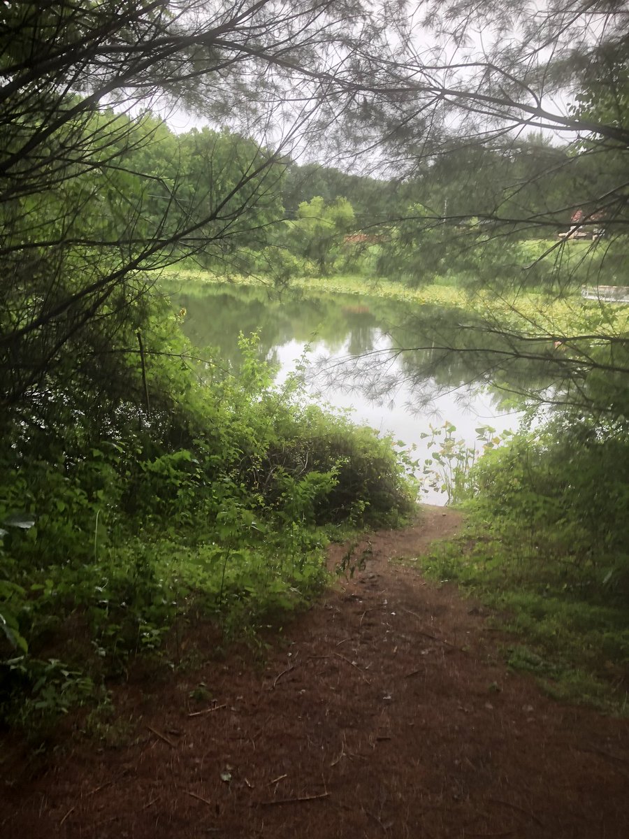 CCPSESOLTeam tweet media