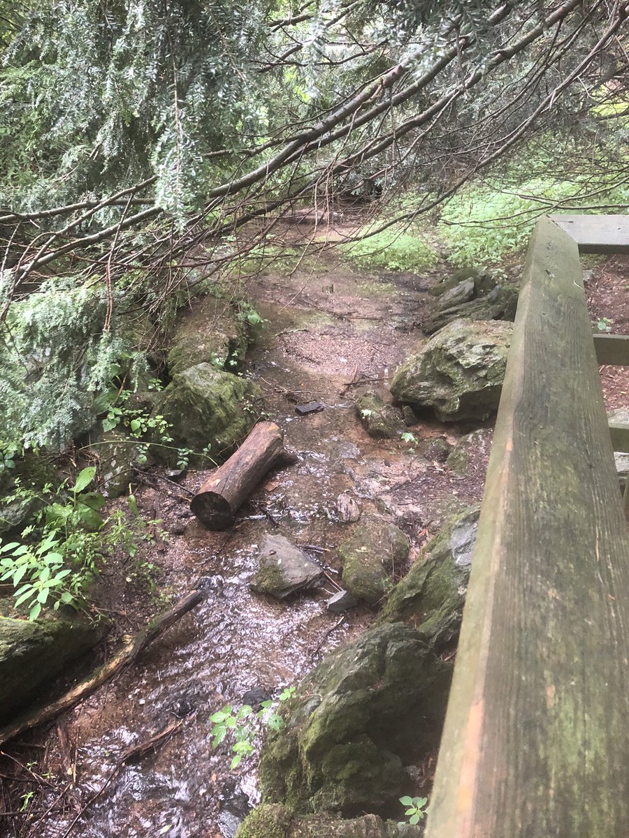 CCPSESOLTeam tweet media