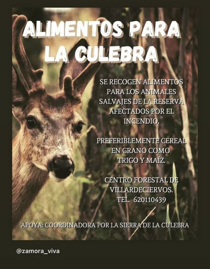 Anabel Maurín Nadal (@maurin_anabel) on Twitter photo 