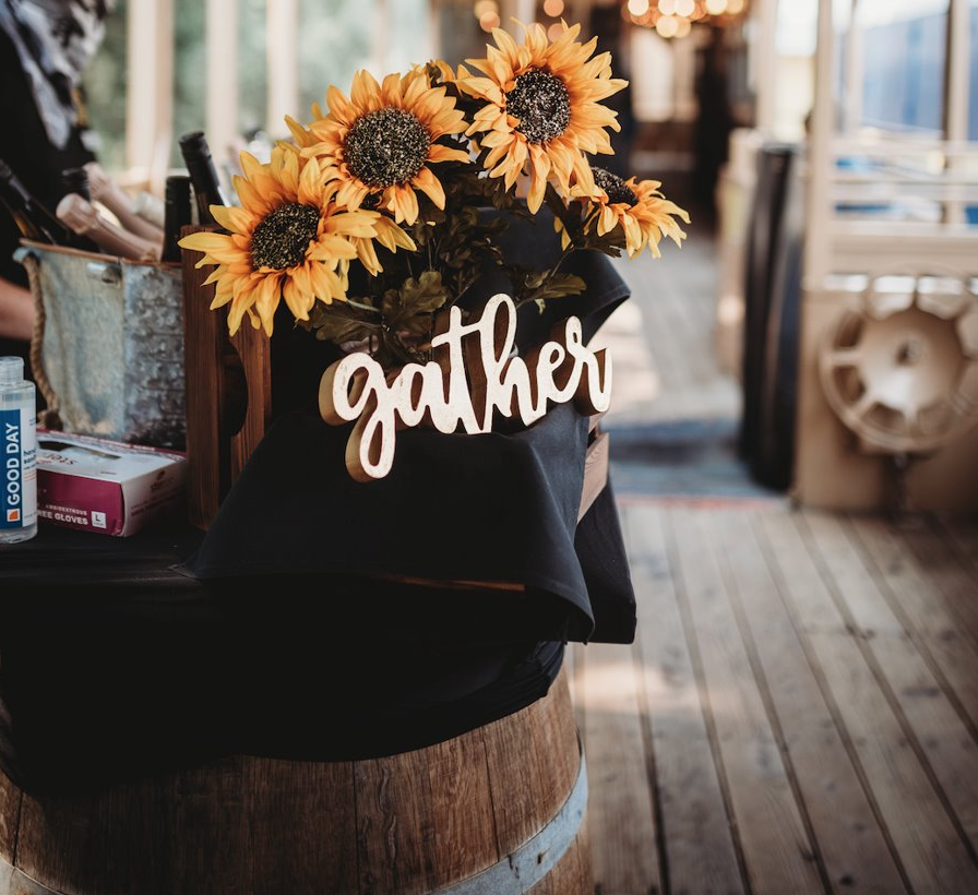 RiverFoxTrain tweet media