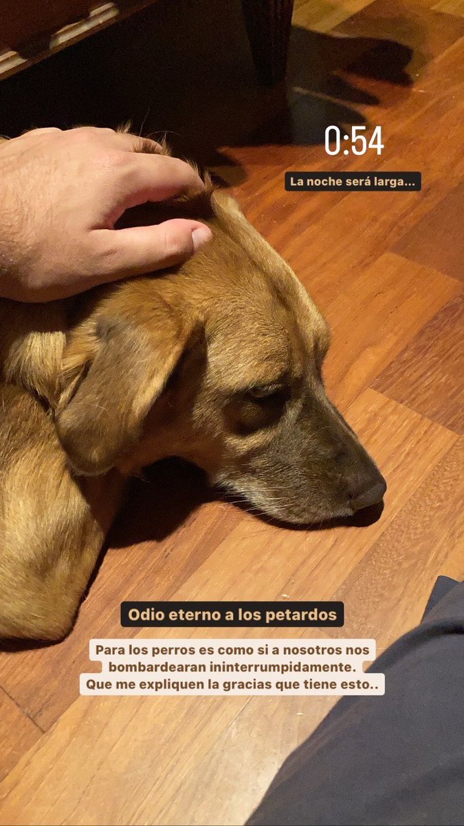 FrancescTerns's tweet image. #OdioLosPetardos