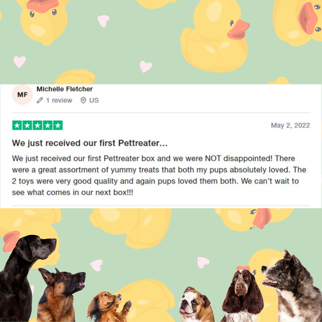 PetTreater's tweet photo. Thanks, Michelle! 🤩⭐️⭐️⭐️⭐️⭐️ We’re so happy you and your pets live their Pet Treater goodies!
.
#pettreater #dog #doggo #boop #dognose #cutedog #dogsrule #dogsofinsta #snoot #cutestdog #subscriptionbox #dogsubscription #petsubscription #monthlysubscript https://t.co/LkbxmqRcHT