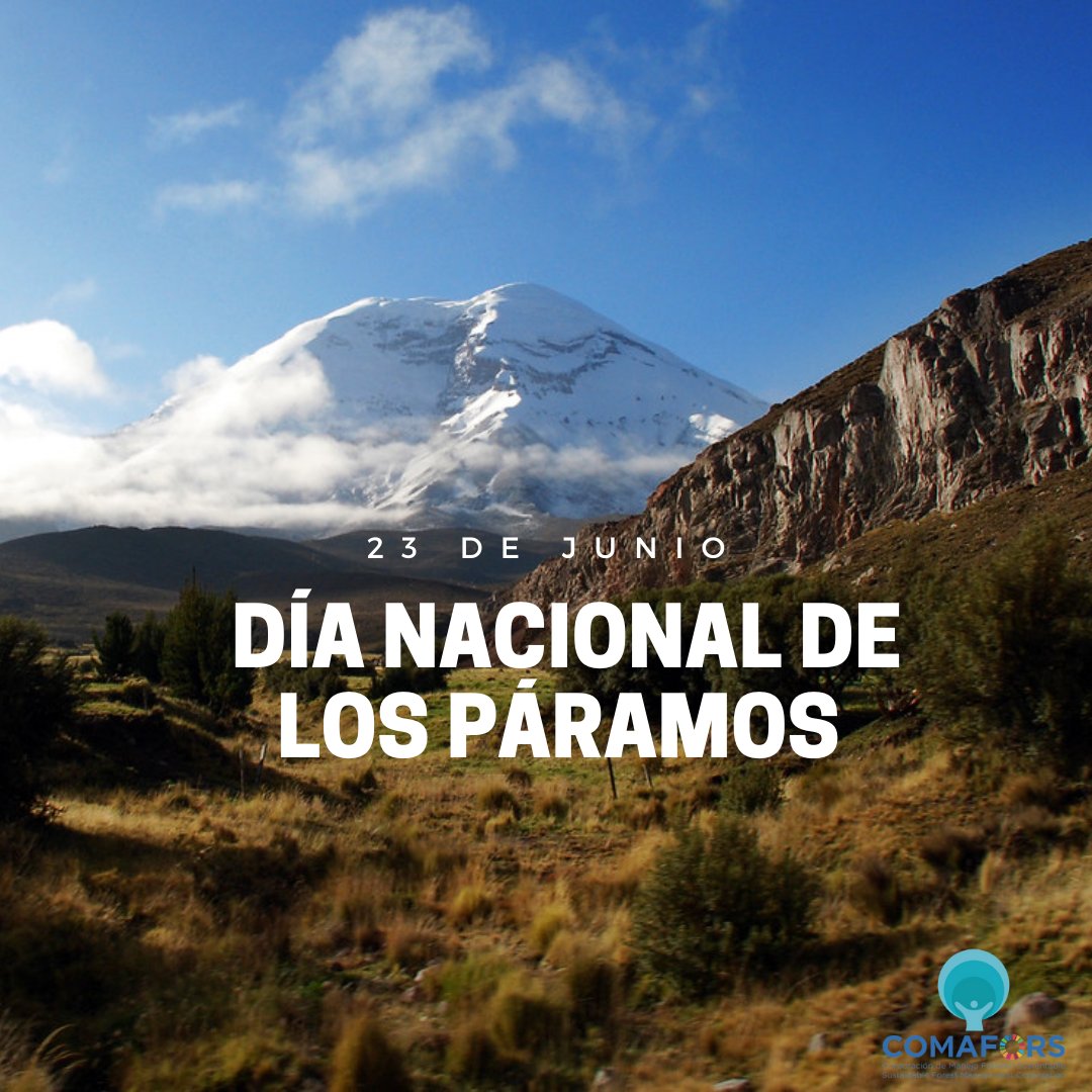 COMAFORS ECUADOR tweet media
