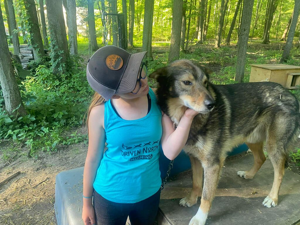Jucketteracing's tweet photo. Aubrey got her Driven North Mushing tank top this week and has worn it twice already!!! #jucketteracing #doglife #musherlife #sleddogs https://t.co/IbRVz7pBaD https://t.co/ocQLU1atsa