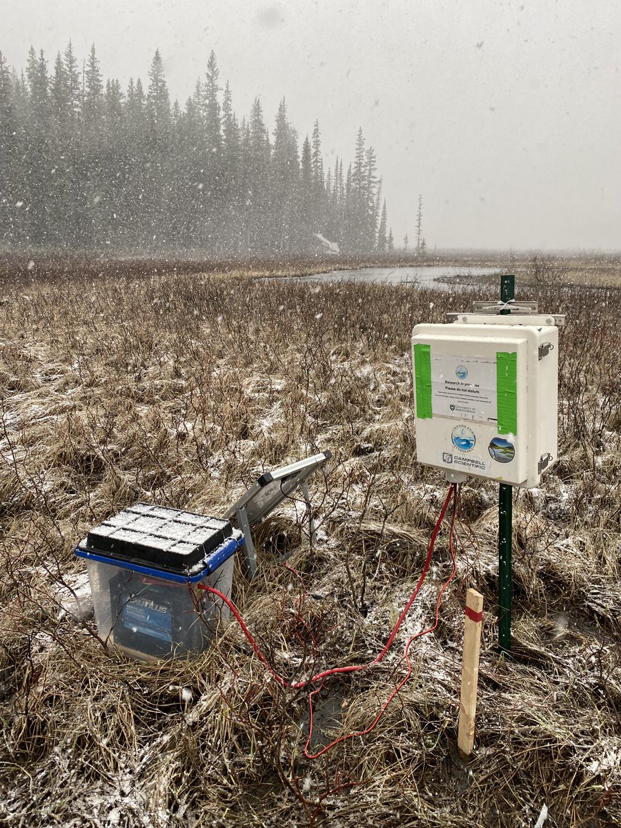 ericjamesmurray's tweet photo. Installed two subsurface temperature stations today using CR1000 loggers from @Campbellsci_CA. 8 holes were drilled into two wooden stakes which were placed into the ground. Thermocouple was inserted into the holes to record temperature at different depths. @UW_Hydromet https://t.co/9J4CDLaQNs