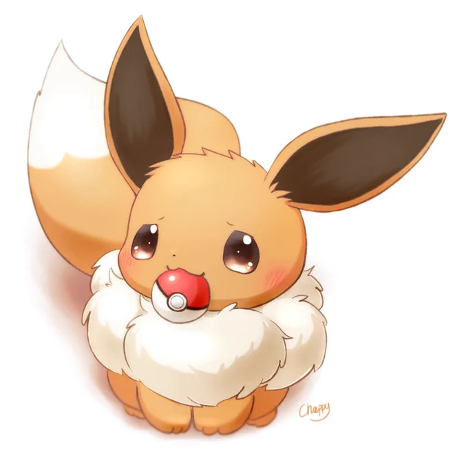 仲間にしてください… #イーブイ 