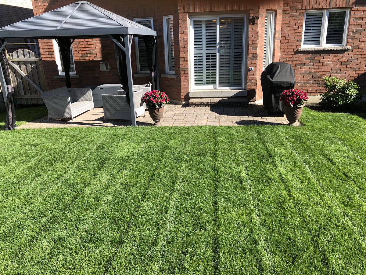bluejaystwit's tweet photo. No Jays game today. So here is a pic of my lawn in backyard. Cut with my @EGOPowerPlus battery powered lawnmower. https://t.co/MMzbS8pVDj