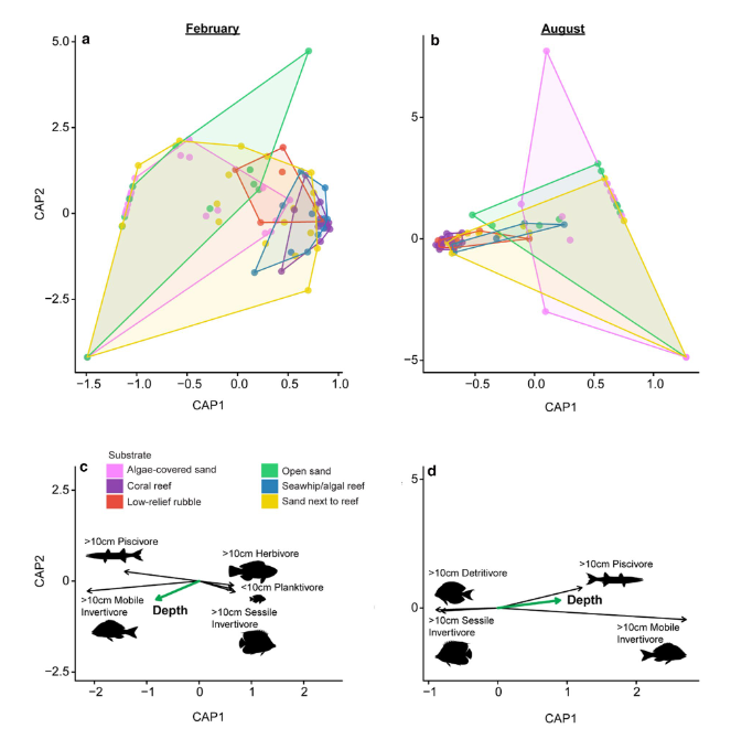 CoralReefEcoLab's tweet photo. New paper led by @DrMollyScott now out OA in @RFBFisheries! Using BRUVs, this study documented pronounced differences in the taxonomic &amp; functional structure of a fish assemblage across a 13 - 71m depth gradient, incl. important fisheries target spp.!
https://t.co/19OncmzJLQ https://t.co/1mPQKQs4iz