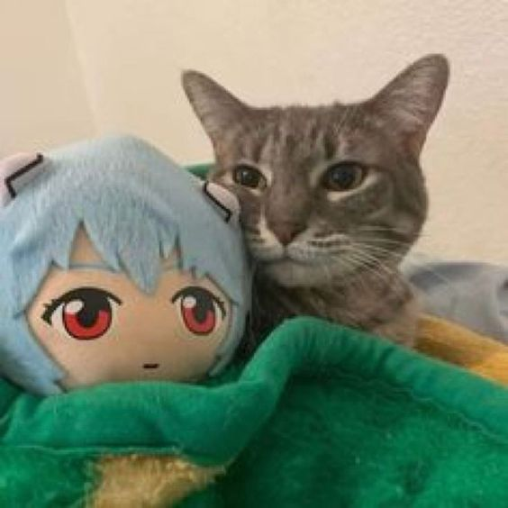 Chicos... estoy muy resfriada 🤧🤧 Literal me peg&oacute; muy fuerte y me est&aacute; afectando a mi recuperaci&oacute;n de