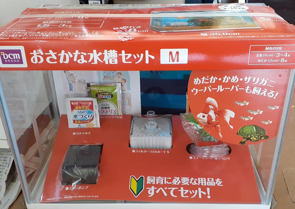 ぴめちよ ぴめえび Pime Pme Twitter