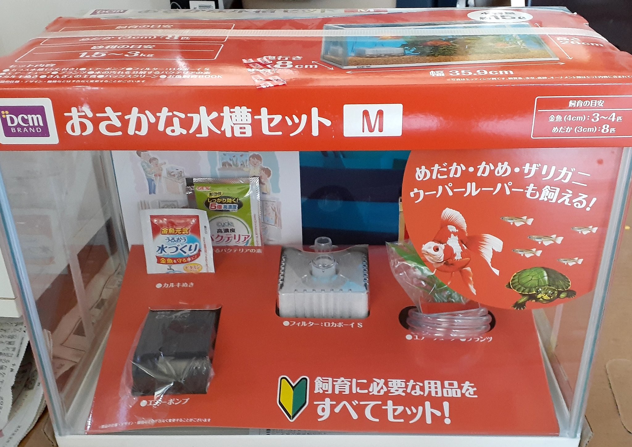 ぴめちよ ぴめえび Pime Pme Twitter