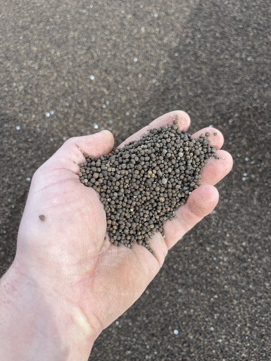 Tyler Nelson tweet media