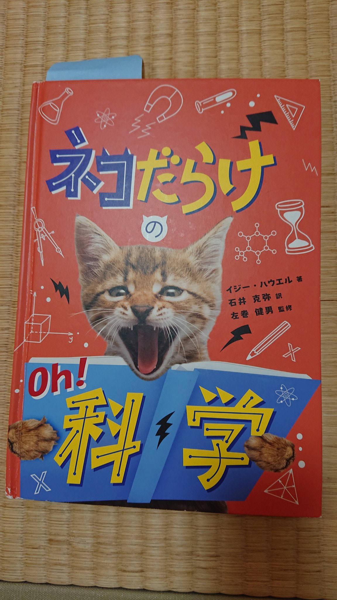 えほほん 8歳 ６歳 Ehoehoehon19 Twitter