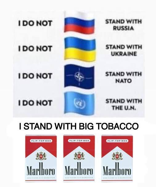 shoe0nhead's tweet image. 