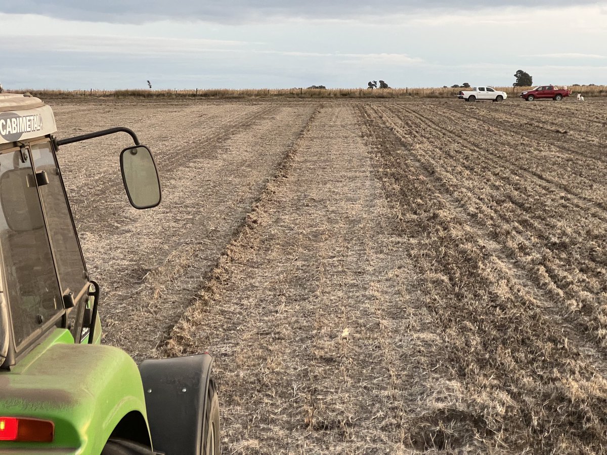 Fresca jornada para sembrar los ensayos de trigo 🌾 en Laprida, ahora con variedades de ⁦<a href="/BuckSemillas/">Buck Semillas</a>⁩ ⁦<a href="/MarioCattneo1/">Mario Cattáneo</a>⁩ ⁦<a href="/dianamartino_/">Diana Martino</a>⁩ ⁦<a href="/fidelcortese/">fidelcortese</a>⁩ Gracias 🙏🙏⁦<a href="/juanpabloraya/">juan pablo raya</a>⁩ , Iván y Francisco  ⁦<a href="/MCorina1985/">Corina Cerdá</a>⁩ ⁦<a href="/GuilleDivito/">Guille Divito</a>⁩