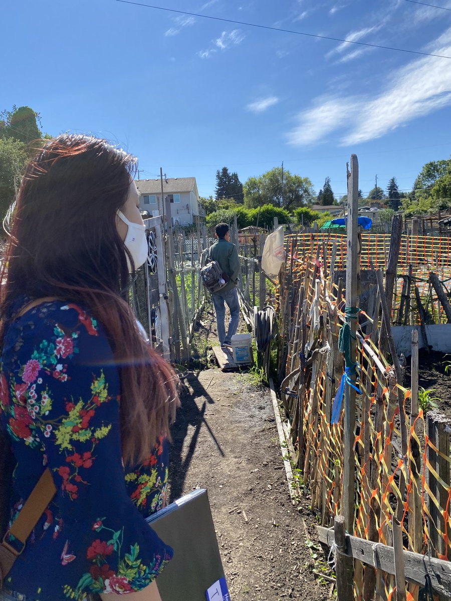 FN_JConyers's tweet photo. The RBAC Stage Crew is visiting the Chief Sealth Pea Patch in preparation for the RBAC Volunteer Training Session this Saturday! #SetTheRecordStraight #RBACStageCrew #ChiefSealthPeaPatch #RBACVolunteerTraining #RBACSCPlanningMeeting @FN_TinaBrigit @fn_mfagerholm @FN_SamuelW https://t.co/bzuTJZe5WJ