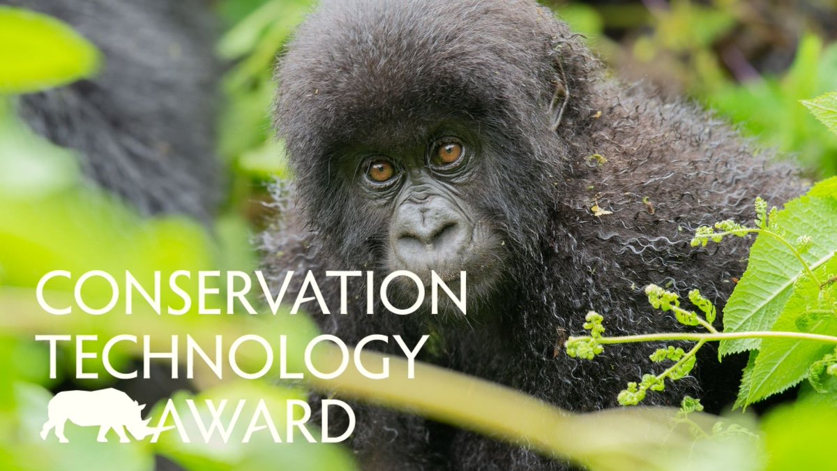 There's no shortage of threats to our world's wildlife. But there's good news: organizations across the world are finding innovative ways to protect them.  

We want to support these organizations and help them go even further. bit.ly/3brYwx3 #CTAward