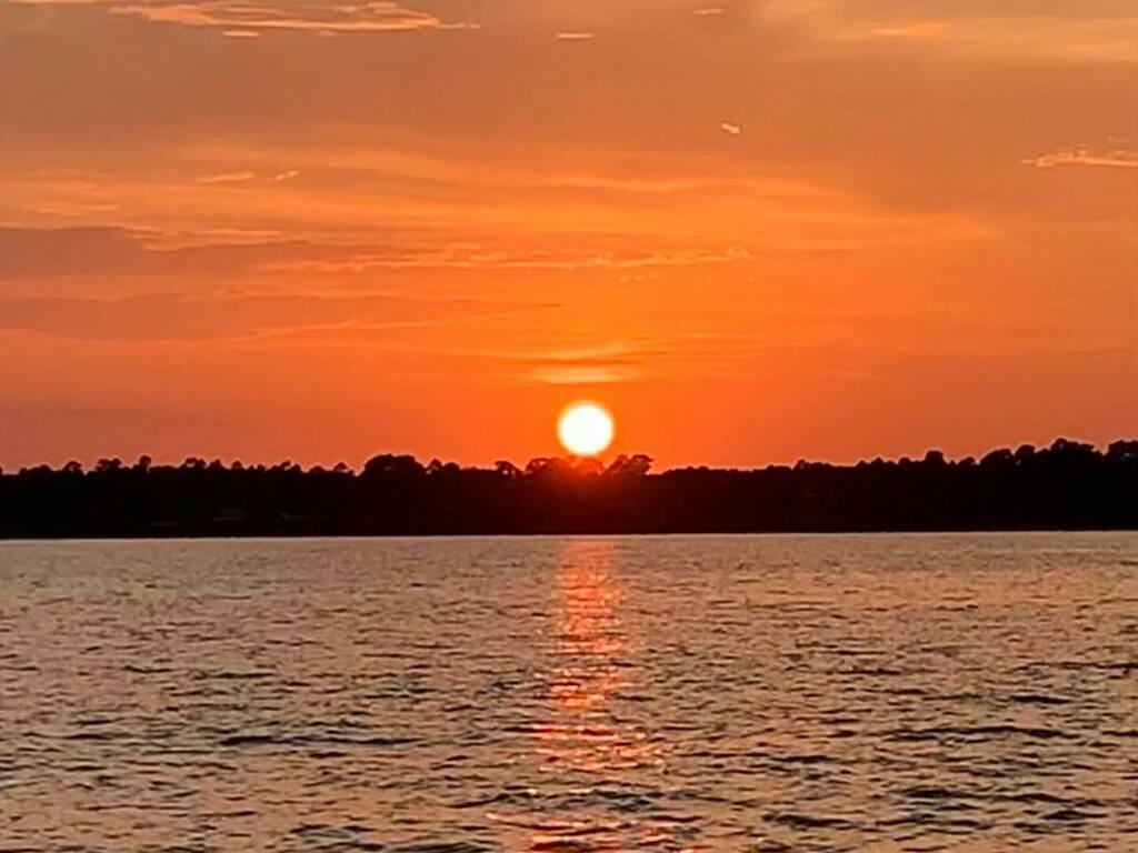 Angela Conrad Church tweet media