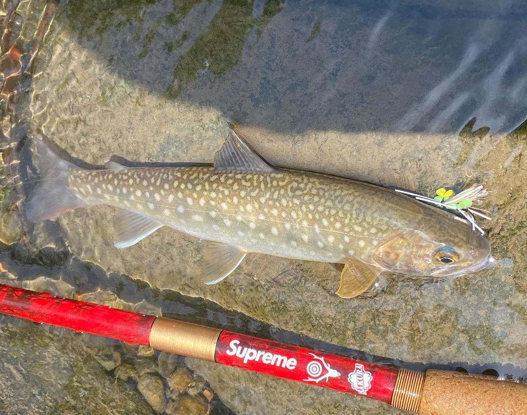 i can not imagine anything more humiliating than being caught with a supreme rod