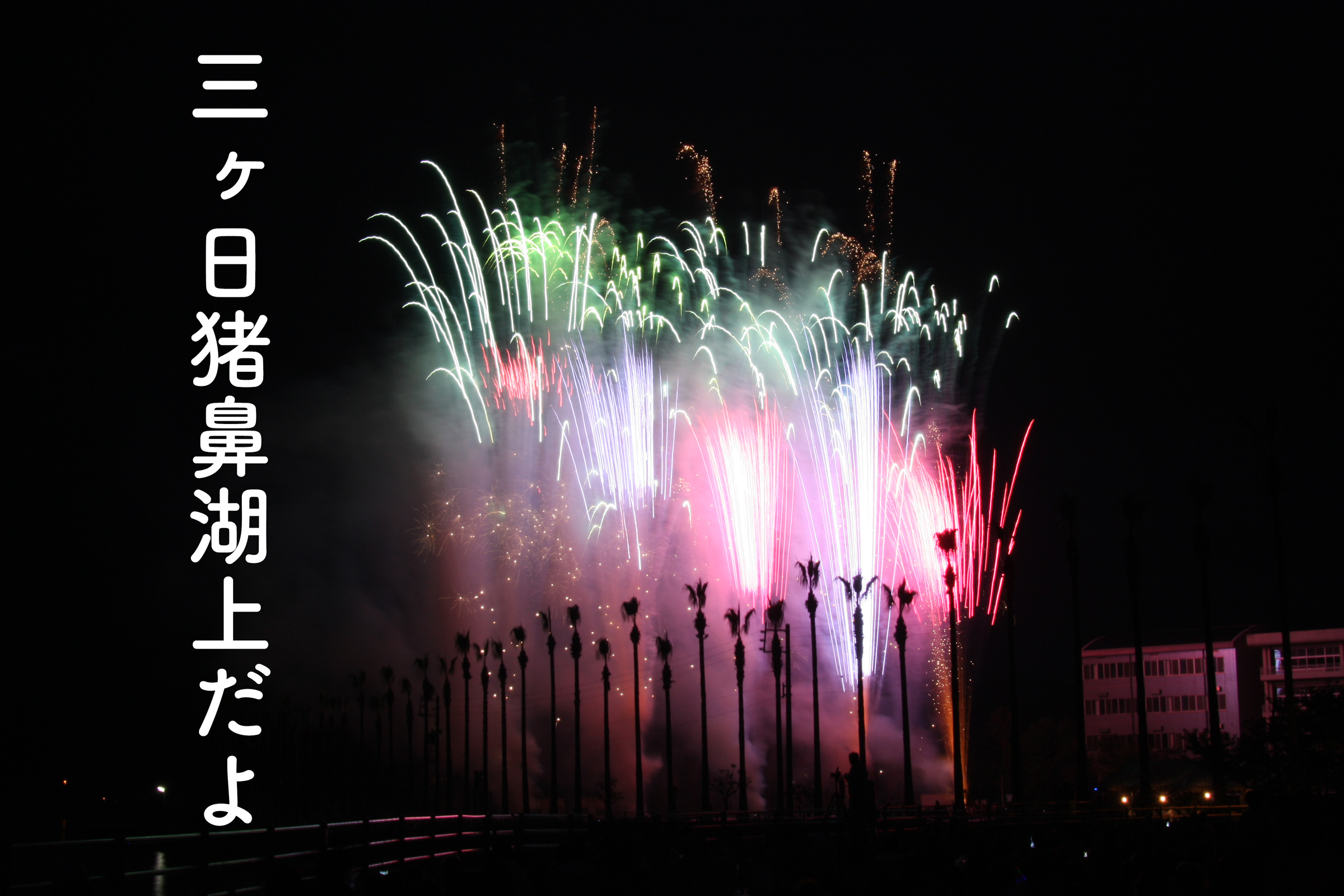 三ヶ日花火大会 Twitter Search Twitter