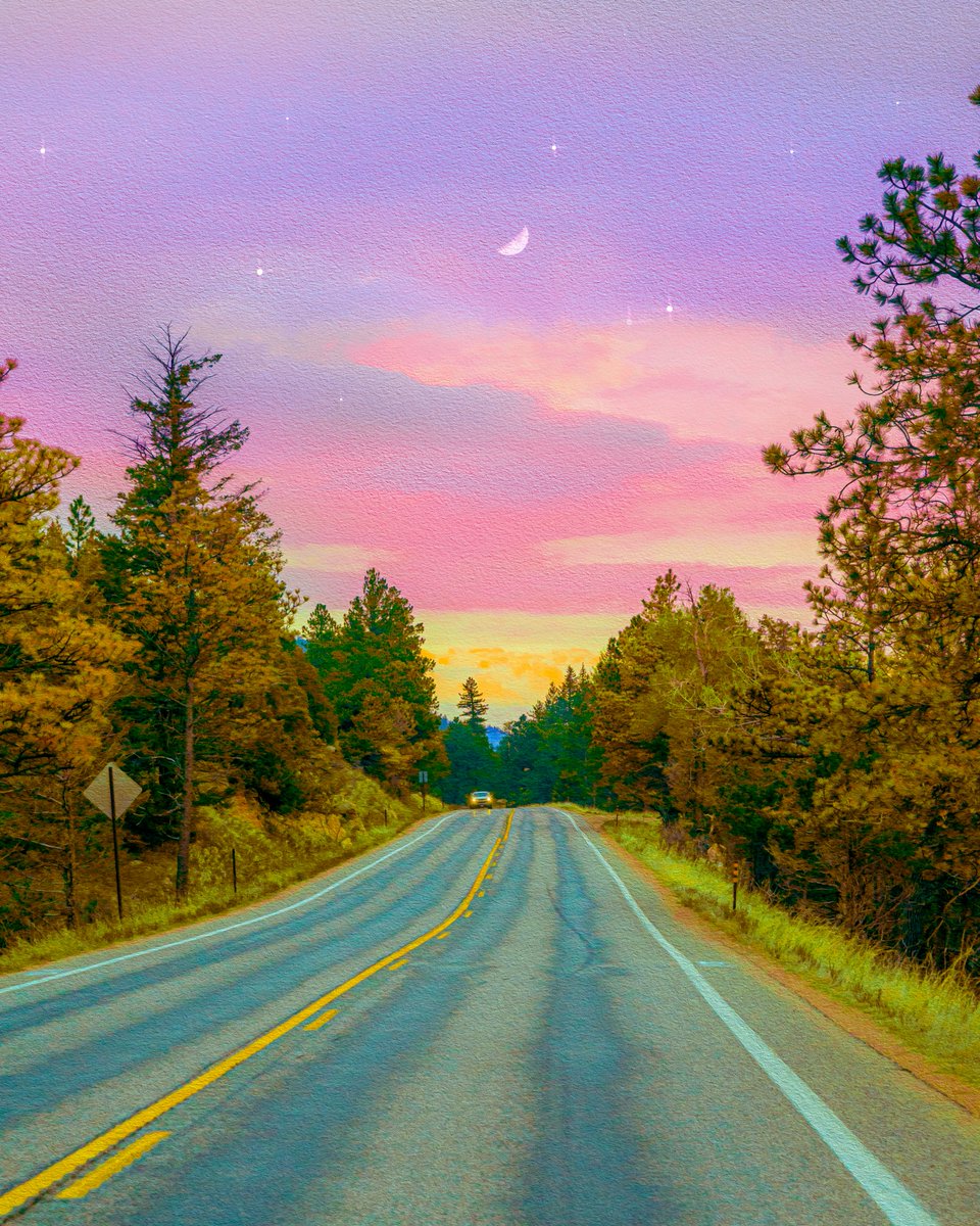 ArtisticVisuals's tweet photo. a photo that felt like a painting https://t.co/5ZpMaoBo3w