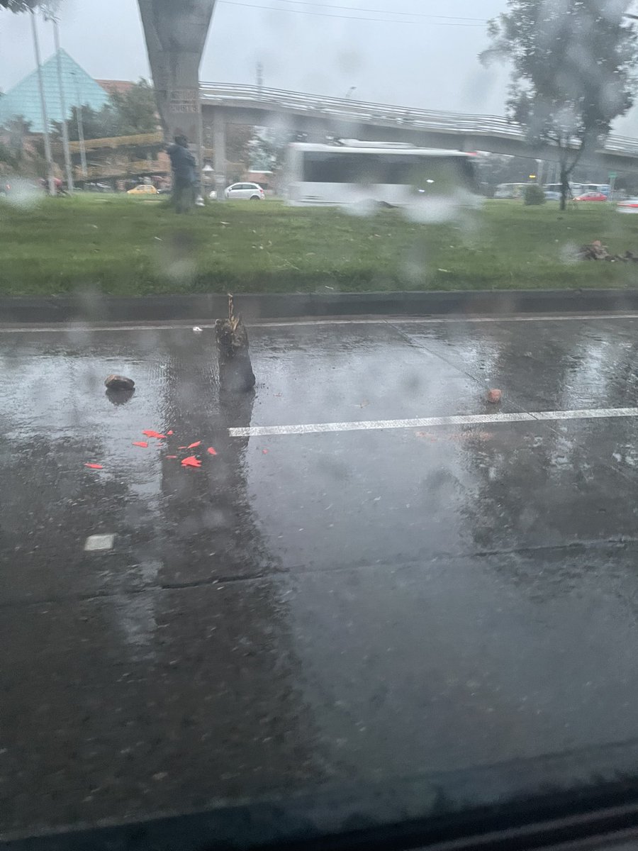 estemartinez's tweet photo. @JBotanicoBogota @SectorMovilidad  Esta es la manera de poner señalización cuando hay una volqueta en plena hora pico, reitero la consulta hay PMT para esta intervención y cuáles son los controles de su cumplimiento?  Consulta a manera derecho de petición https://t.co/UHrrqZO2ZZ