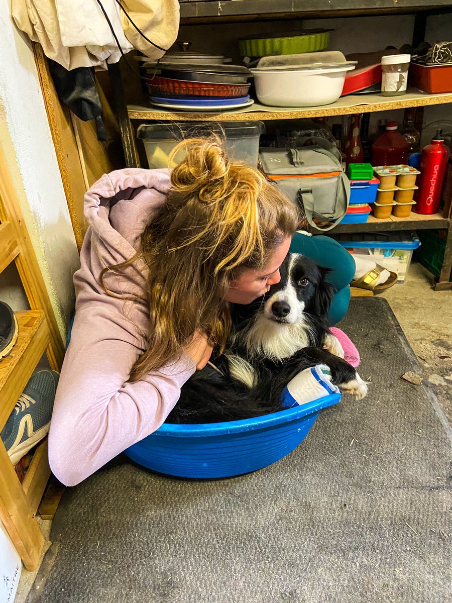 mgxmct's tweet photo. CHIENS OF COURSE https://t.co/HnV1n660QN