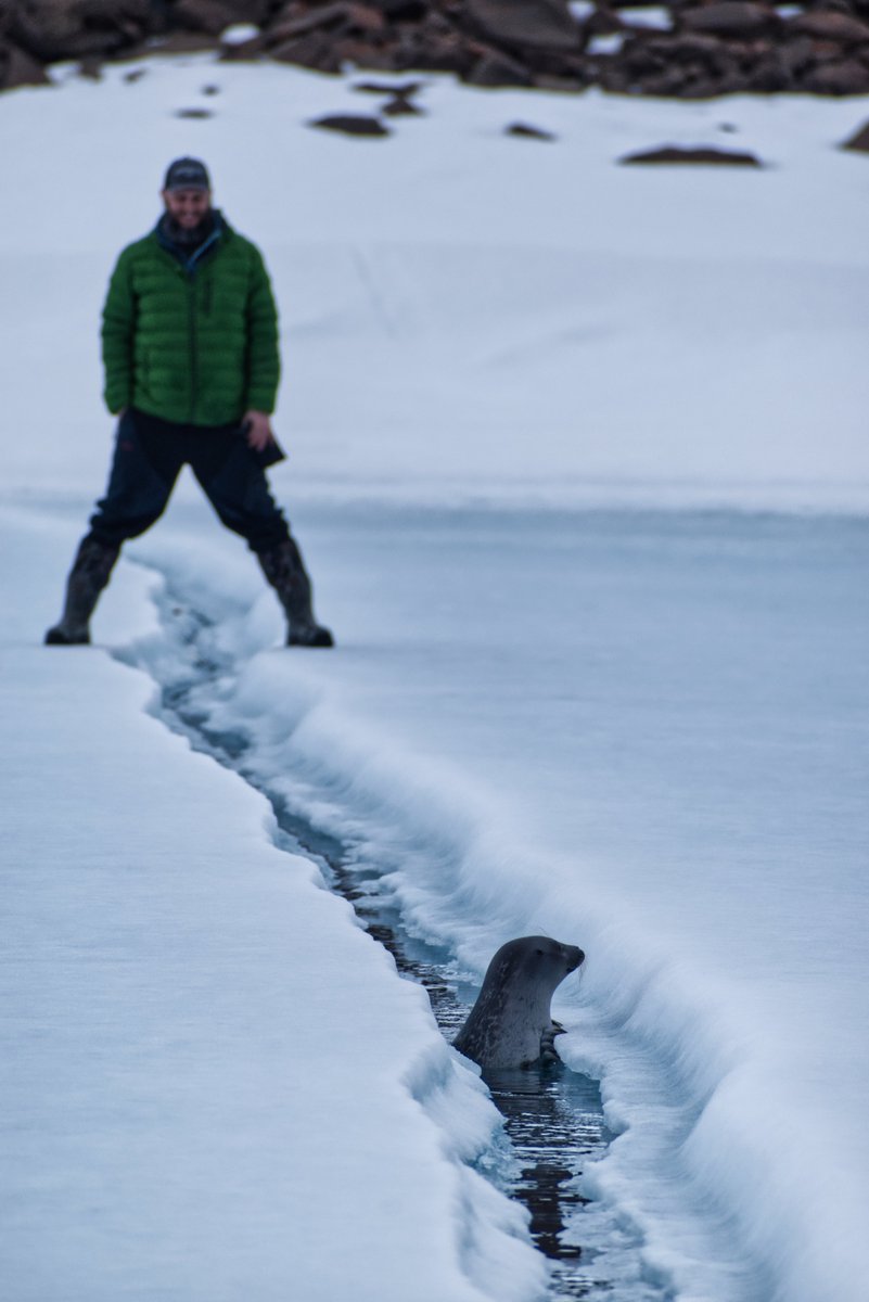 One year teaching in the Arctic w/ <a href="/bushcraft_tech/">David Leitch</a>  ✔  Learning at the beach ☀  Fishing with the gang in huge cracks in the ocean- along with some seal friends.