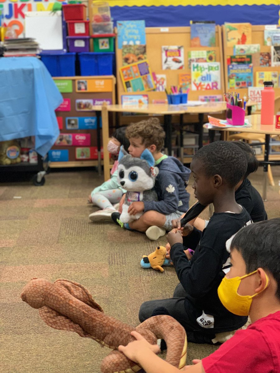 KPBaker1's tweet photo. Teddy Bear 🧸 and Stuffies 🐶 🦄 Day https://t.co/0PaJax2vRC