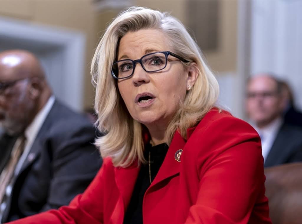 PECOSO233's tweet photo. Rep. Liz Cheney (R-WY) has sent direct mailers to Wyoming Democrats, requesting they change parties to be eligible to vote for her in the August Republican primary. She finally has shown her true color, BLUE https://t.co/1vSAscT9Qv