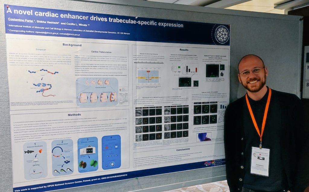 Let's talk about how cool it is to study #cardiac #enhancers and the great potential of the #Zebrafish as a model #organism! 🐟🦓
I'm at position 13B,  Mezzanine!
#IZFC2022 #Montreal