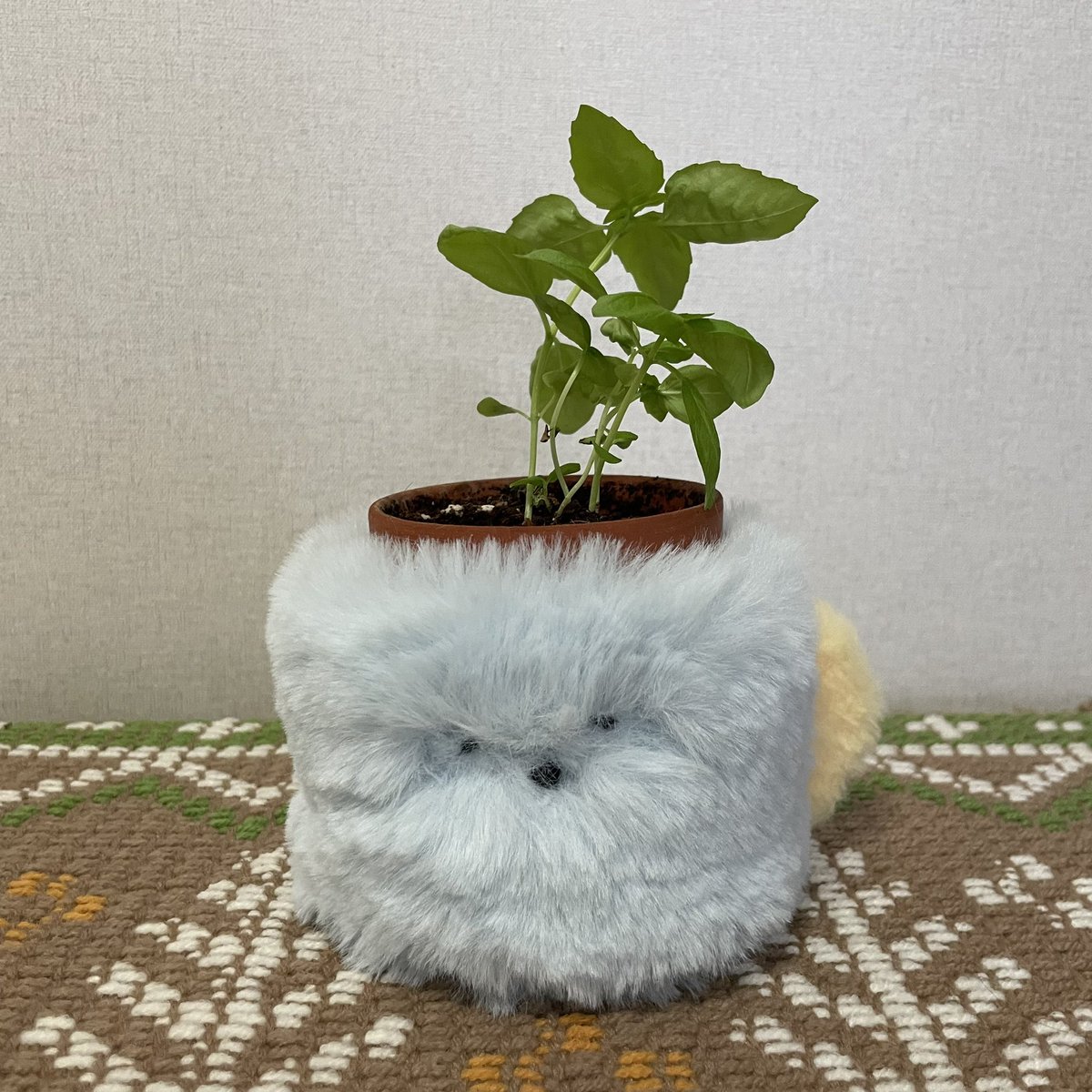 리리피피 tweet media