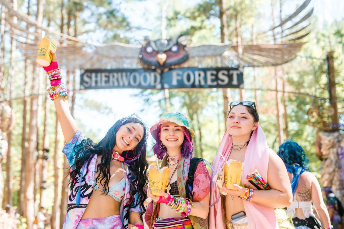 Electric Forest 2022 photo