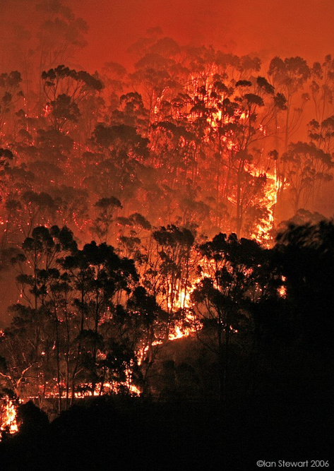 Climate Futures tweet media