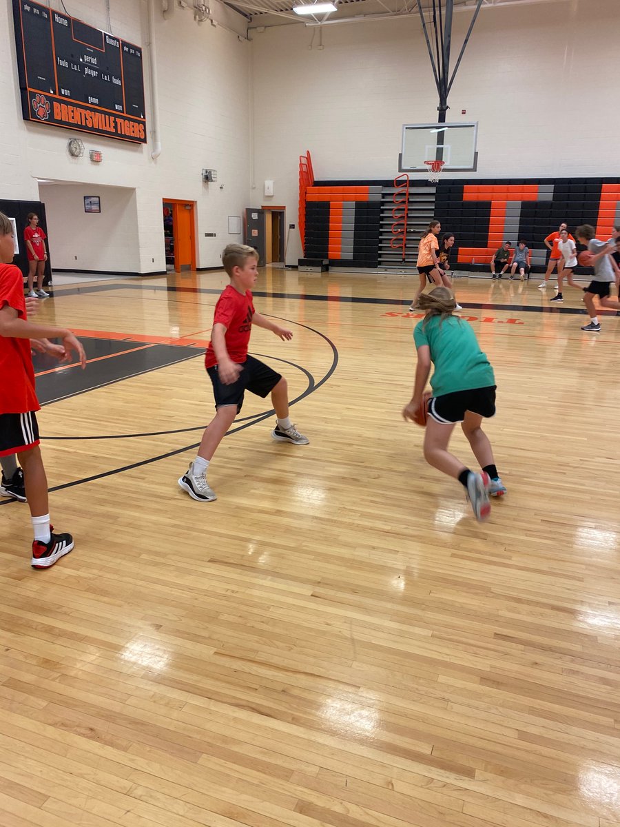 BDHS Tigers GBB tweet media