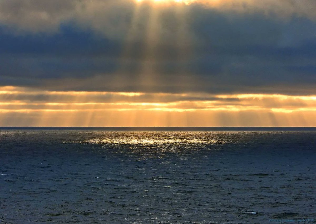 earthskyscience's tweet photo. Cecille Kennedy in Depoe Bay, Oregon, wrote: "The last sunset of Spring 2022. The sunrays breaking through the clouds and creating shimmering gold reflection on the sea make me feel hopeful. I wish the EarthSky Community and all a wonderful Summer of 2022!"
You too! Thanks! 💛 https://t.co/rHuOsObpNH