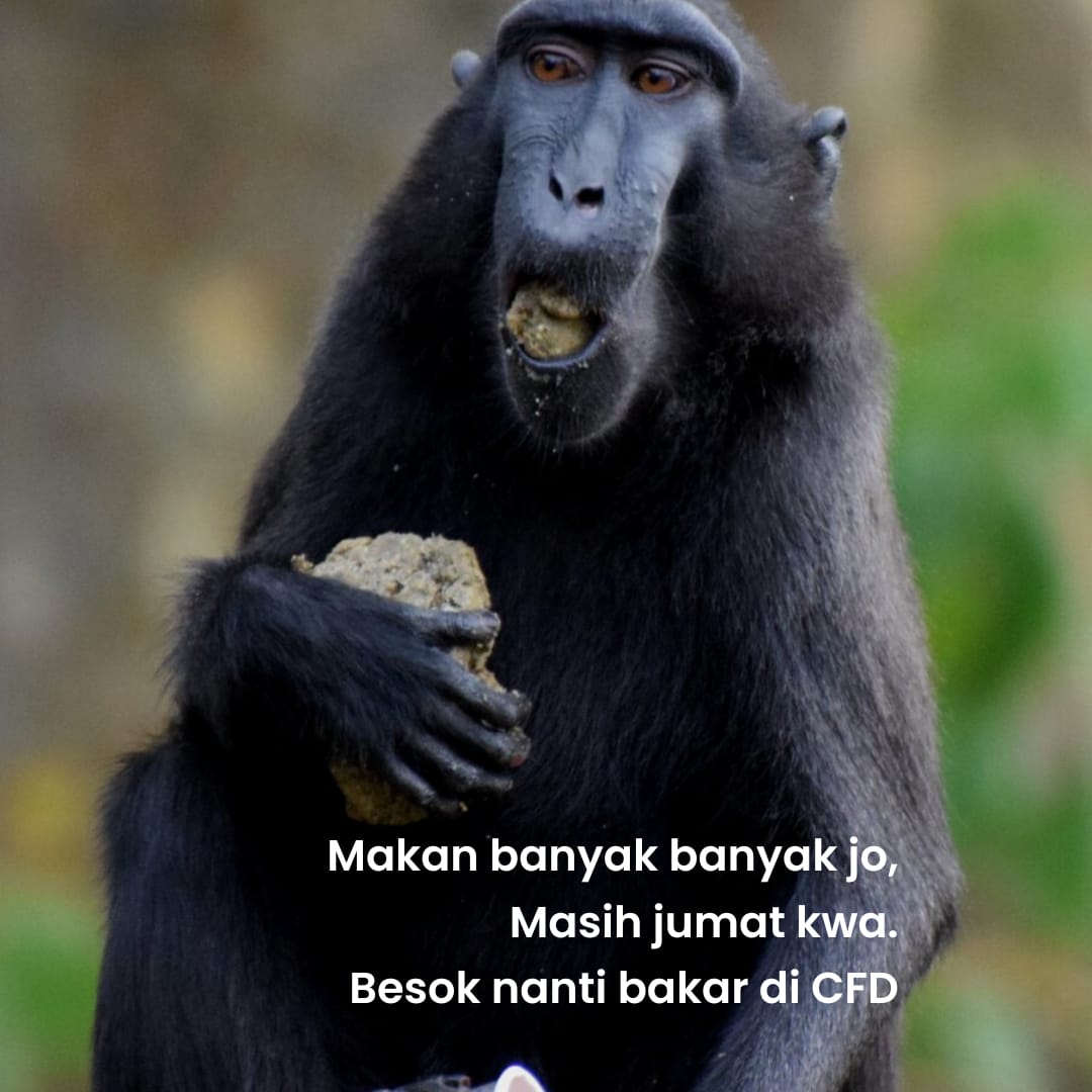 SelamatkanYaki photo
