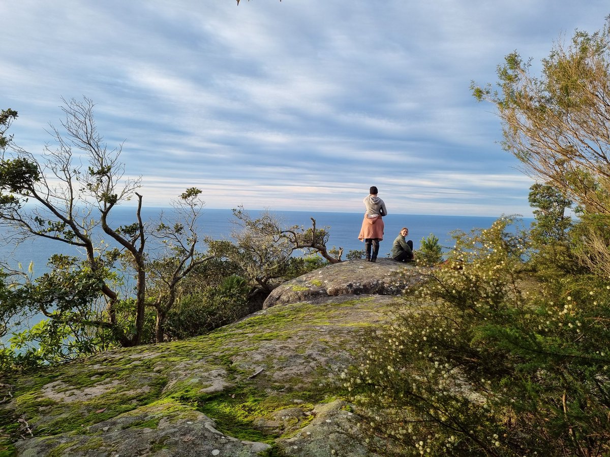 When the #lyrebird and #whalewatching seasons collide 🐳

#fieldworkfun #RoyalNP <a href="/SamanthaYabsley/">Samantha Yabsley</a>