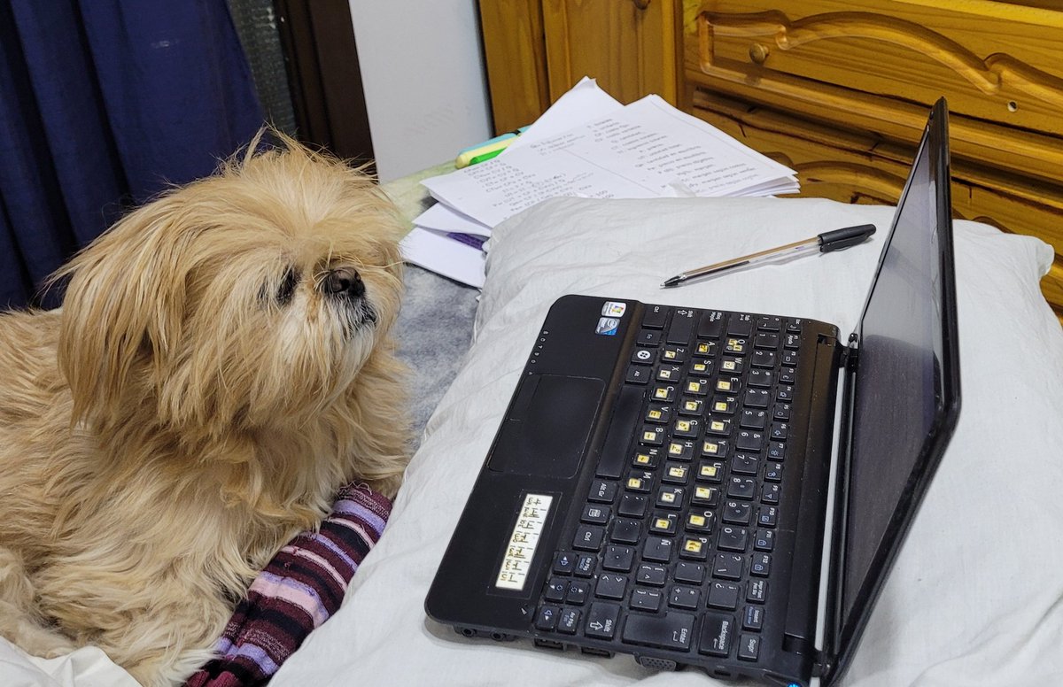 Panperro13's tweet photo. Que locura, hoy se comenzó el día así!! Tan cansador que me despeine toda..#roma3, @holapancoe #panco19 https://t.co/LbzAsU1Q3r