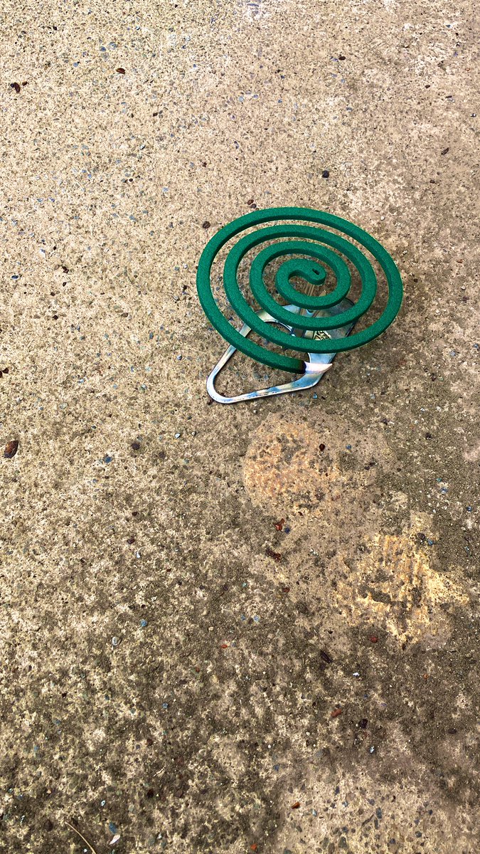 4242co's tweet photo. 実家のね、離れ?の片付けをしているのだがね…
蚊が…
母上になんか無いの?って聞いたらゴキジェットと蚊取り線香出てきたよ。
今日の夜は #GRITstrength の予約をしているので、なんとか片付けを夕方までに終わらせたい‼️
#ジム通い #筋トレ初級
#ダイエット https://t.co/pTiPQsexZt