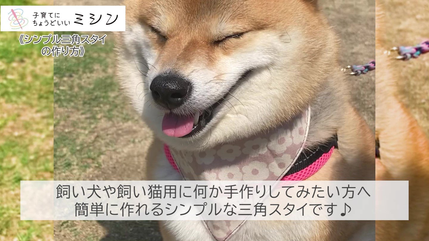 Tweets With Replies By アックスヤマザキ 公式 Axeyamazaki1946 Twitter