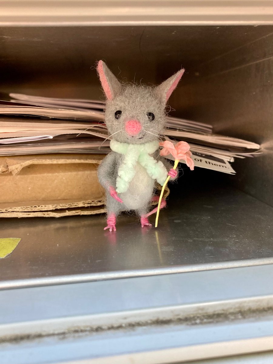 GemmaMouse's tweet image. I helped get the mail tonight. We got a book. There was too much for me to carry, so I just advised. #TinyAdventures #Sunny #BeautifulEvening #Summer #helpinghand