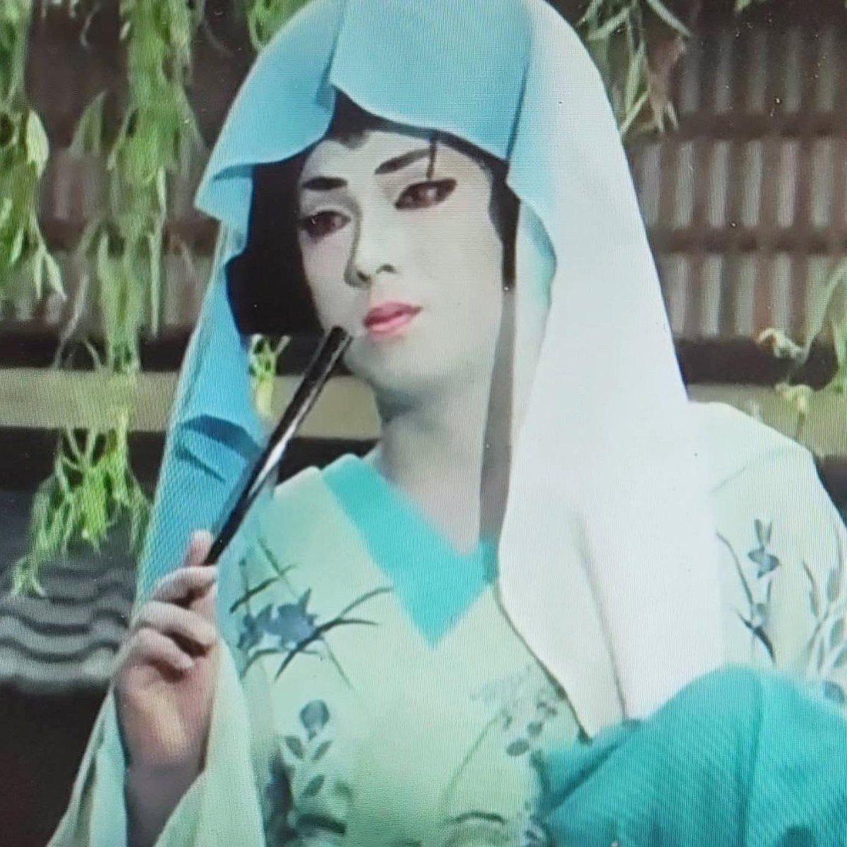 2枚とも梅沢富美男でございますよ。 どちらも美しいでしょ？ 本日も